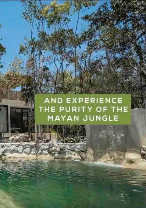Villa Xuncari In The Heart Of The Jungle Tulum Kültér fotó